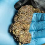 Debrecen Online Cannabis Store – Buy Marijuana, Hemp, and CBD Products img-13.jpg