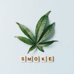 Varna Cannabis Market Overview img-1607.jpg