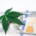 420 Sofia The Premier Cannabis Store in Bulgaria img-171.jpg