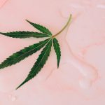 Cannabis shop Venice img-1728.jpg