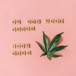 Milan Cannabis Shop: Your Guide to Buying THC‑Rich Cannabis in Milan img-1748.jpg