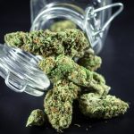 Welcome to the heart of the Zagreb cannabis market img-185.jpg