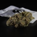 Welcome to Galway’s premier legal cannabis shop Galway – a one‑stop destination for anyone looking to explore the world of cannabis, marijuana, hemp, THC, and weed across Europe img-1921.jpg