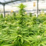 img-2028.jpg