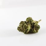 Welcome to the premier marijuana shop in Luzern img-2030.jpg