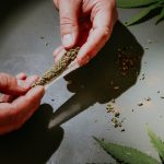 Why San Marrio is a Prime Destination for THC Marijuana img-2050.jpg