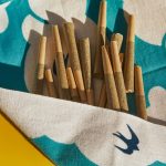 The Ultimate Guide to the Slovenian Cannabis Market img-2066.jpg