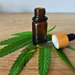 Bremen Cannabis Laws and Local Regulations img-2079.jpg