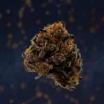 Bucharest Weed Delivery: Reliable, Discreet, and Affordable Online Cannabis Service img-2095.jpg