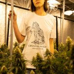 Zagreb Cannabis Shop: Premium Marijuana, Hemp, and Delivery img-2294.jpg