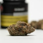 Varna Cannabis Shop: Premier Destination for Cannabis, Marijuana, Hemp, and THC img-2326.jpg