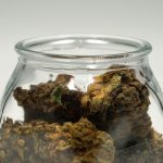 Lisbon cannabis shop: your guide to the best dispensaries img-2364.jpg