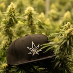 Welcome to the premier cannabis dispensary in Kosice, Slovakia img-2528.jpg