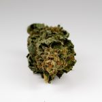Bern Cannabis Guide: Laws, Shops, and Online Purchase img-2602.jpg