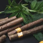 Welcome to the premier cannabis dispensary in Wroclaw img-2672.jpg