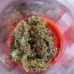 Cannabis Delivery Geneva: Fast, Secure, and Legal img-2840.jpg