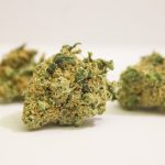 Buy THC Vape Online Italy: Your Guide to Legal and Safe THC Vaping img-3042.jpg