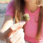Cannabis Delivery in Madeira: Legal Status, Ordering, and Delivery Services img-3073.jpg