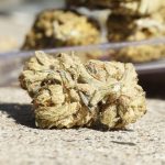 THC Marijuana in Sweden: Legal Status, Online Purchase and Delivery Guide img-3178.jpg