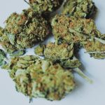 Welcome to the most comprehensive weed store in Karlsruhe – your one‑stop cannabis dispensary for legal marijuana, recreational cannabis, and medical cannabis img-3314.jpg