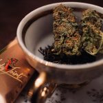 Seville, the heart of Andalusia, is not only famous for its flamenco, tapas, and historic architecture but also for its vibrant cannabis culture img-3316.jpg