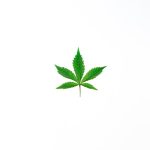 Looking for a reliable 420 shop Frankfurt that offers a wide selection of cannabis‚ marijuana‚ hemp‚ THC‚ and weed? img-627.jpg
