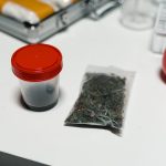 Vienna Cannabis Market img-628.jpg