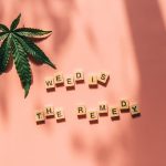 Rome Weed Delivery Service img-745.jpg