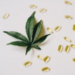 Berlin is a vibrant hub for cannabis enthusiasts img-753.jpg