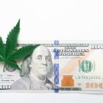 Pozna Cannabis Shop img-814.jpg